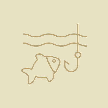 angelsport icon 412x412